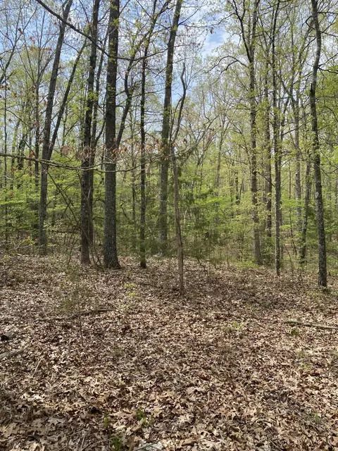 Other - 3365 County Road 153, Gainesville, MO 65655 photo 11 of 15
