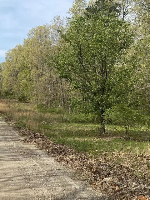 Other - 3365 County Road 153, Gainesville, MO 65655 photo 13 of 15