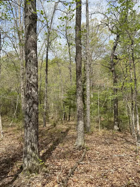Other - 3365 County Road 153, Gainesville, MO 65655 photo 12 of 15