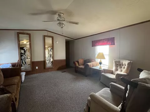 Living - 3365 County Road 153, Gainesville, MO 65655 photo 2 of 3