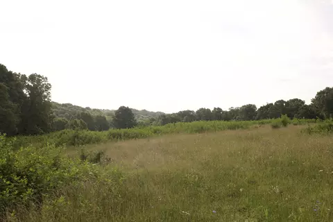 8305 Farm Road 1120, Purdy, MO 65734 photo 68