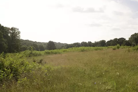 8305 Farm Road 1120, Purdy, MO 65734 photo 71