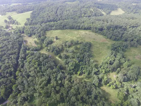 8305 Farm Road 1120, Purdy, MO 65734 photo 15