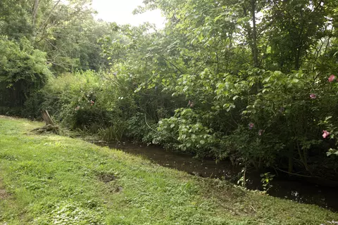 8305 Farm Road 1120, Purdy, MO 65734 photo 33