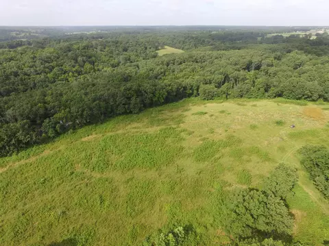 8305 Farm Road 1120, Purdy, MO 65734 photo 20