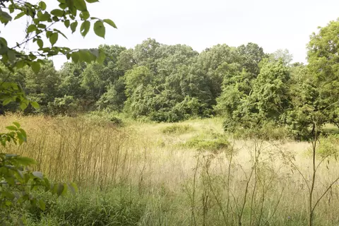 8305 Farm Road 1120, Purdy, MO 65734 photo 83
