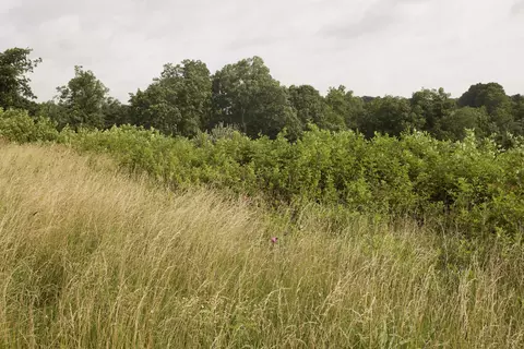 8305 Farm Road 1120, Purdy, MO 65734 photo 70