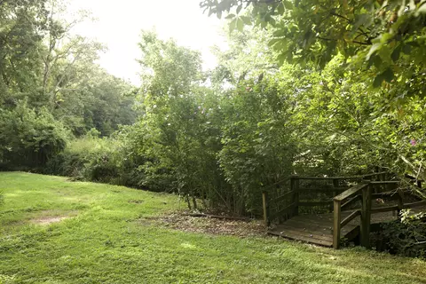 8305 Farm Road 1120, Purdy, MO 65734 photo 38