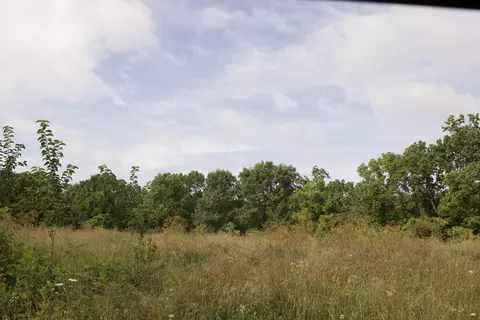 8305 Farm Road 1120, Purdy, MO 65734 photo 69