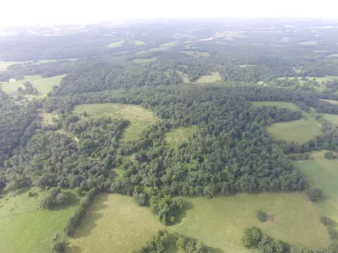 8305 Farm Road 1120, Purdy, MO 65734 photo 4