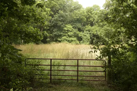 8305 Farm Road 1120, Purdy, MO 65734 photo 85