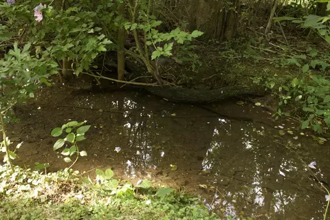 8305 Farm Road 1120, Purdy, MO 65734 photo 32