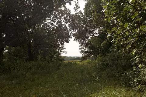 8305 Farm Road 1120, Purdy, MO 65734 photo 76