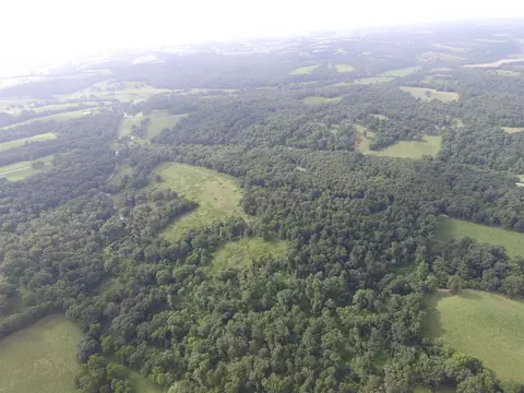8305 Farm Road 1120, Purdy, MO 65734 photo 7