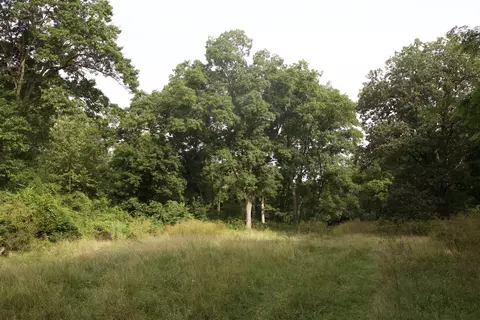 8305 Farm Road 1120, Purdy, MO 65734 photo 63