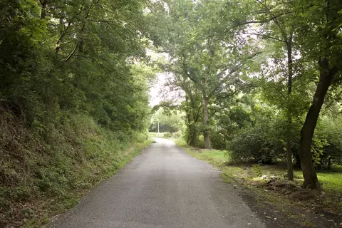 8305 Farm Road 1120, Purdy, MO 65734 photo 41