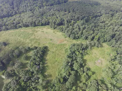8305 Farm Road 1120, Purdy, MO 65734 photo 16