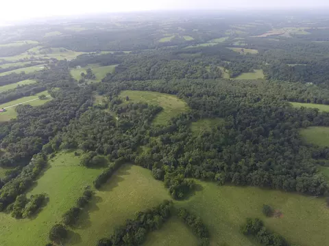 8305 Farm Road 1120, Purdy, MO 65734 photo 5