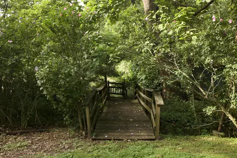 8305 Farm Road 1120, Purdy, MO 65734 photo 37
