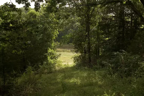 8305 Farm Road 1120, Purdy, MO 65734 photo 77