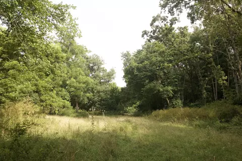 8305 Farm Road 1120, Purdy, MO 65734 photo 66