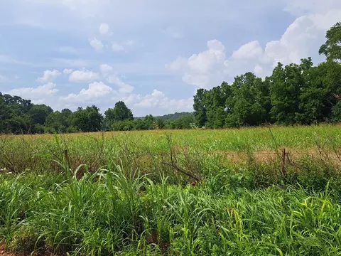 000 Reindeer Rd, Granby, MO 64844