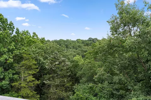 View/Area - 259 Mesquite Dr, Branson, MO 65616 photo 4 of 16