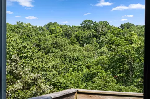 Other - 259 Mesquite Dr, Branson, MO 65616 photo 11 of 23