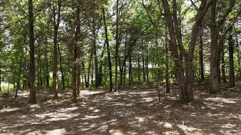 000 Deer Run St, Shell Knob, MO 65747 photo 8