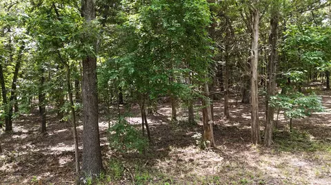 000 Deer Run St, Shell Knob, MO 65747 photo 5