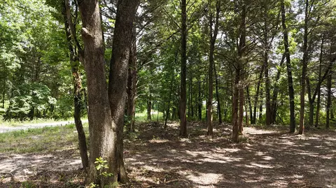 000 Deer Run St, Shell Knob, MO 65747 photo 9