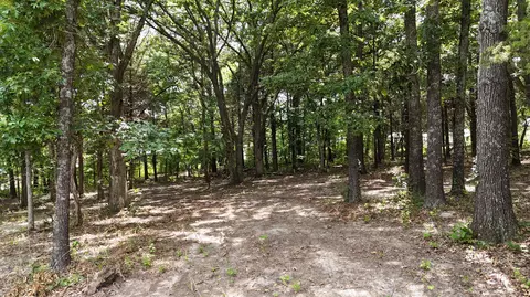 000 Deer Run St, Shell Knob, MO 65747 photo 7