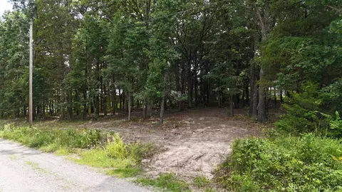 000 Deer Run St, Shell Knob, MO 65747 photo 3