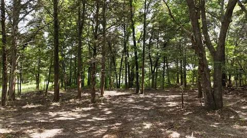 000 Deer Run St, Shell Knob, MO 65747 photo 10