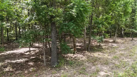 000 Deer Run St, Shell Knob, MO 65747 photo 6