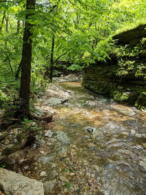000 Coyote Ridge Rd, Cassville, MO 65625