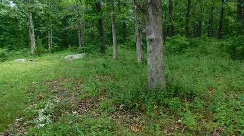 4286 SE 871 Rd, Collins, MO 64738 photo 5