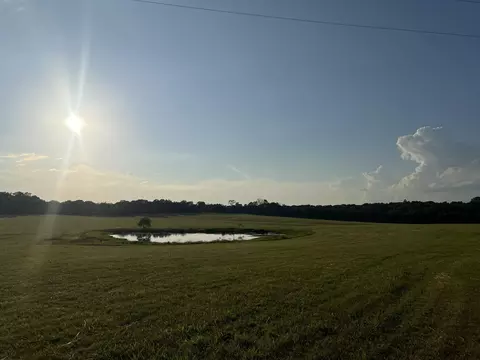 000 Tt Hwy, Crane, MO 65633 photo 13