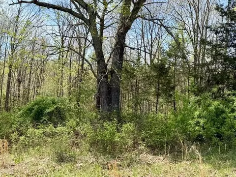 000 State Highway 76, Ava, MO 65608 photo 10
