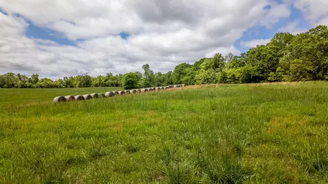 5558 Mo 142, Thayer, MO 65791 photo 15