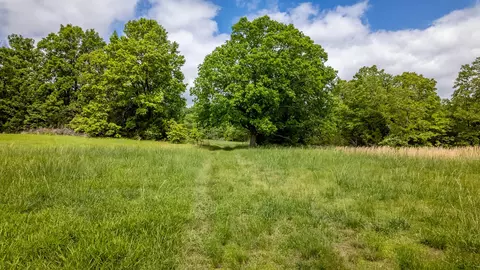 5558 Mo 142, Thayer, MO 65791 photo 16