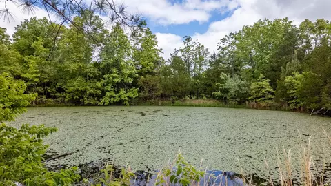 5558 Mo 142, Thayer, MO 65791 photo 8