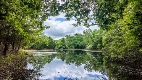 5558 Mo 142, Thayer, MO 65791 photo 6