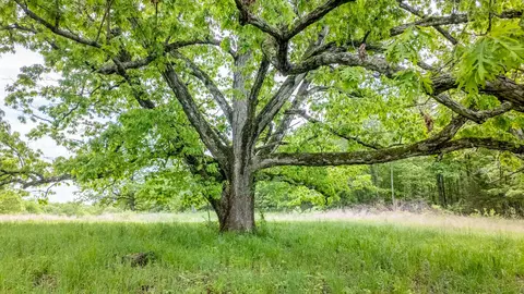 5558 Mo 142, Thayer, MO 65791 photo 27