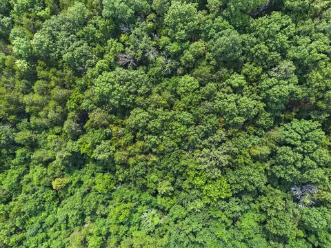 000 Everest Road Tract 3, Galena, MO 65656 photo 9
