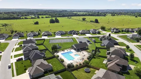 View/Area - 1665 E Pea Ridge Dr, Republic, MO 65738 photo 4 of 4