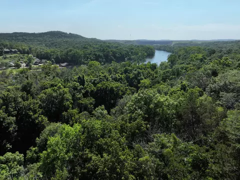 View/Area - 142 Grandview Dr #3, Branson, MO 65616 photo 12 of 20