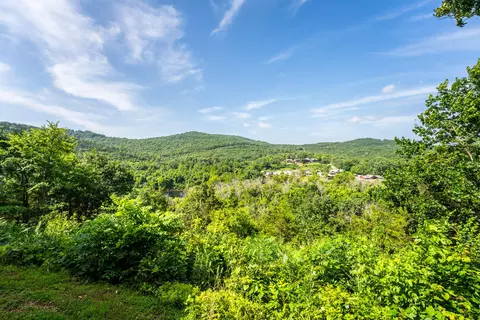 View/Area - 142 Grandview Dr #3, Branson, MO 65616 photo 2 of 20