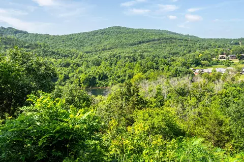 View/Area - 142 Grandview Dr #3, Branson, MO 65616 photo 5 of 20