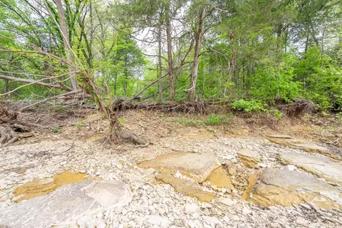 000 County Road 817, Gainesville, MO 65655 photo 15